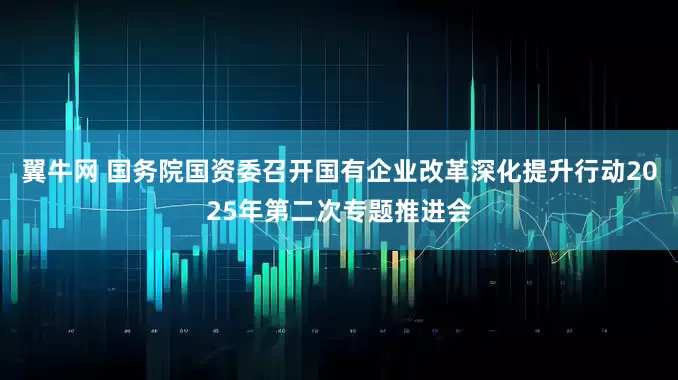 翼牛网 国务院国资委召开国有企业改革深化提升行动2025年第二次专题推进会