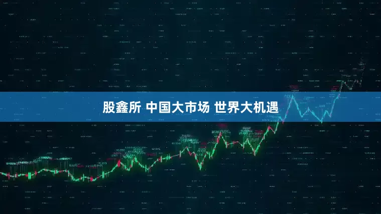 股鑫所 中国大市场 世界大机遇