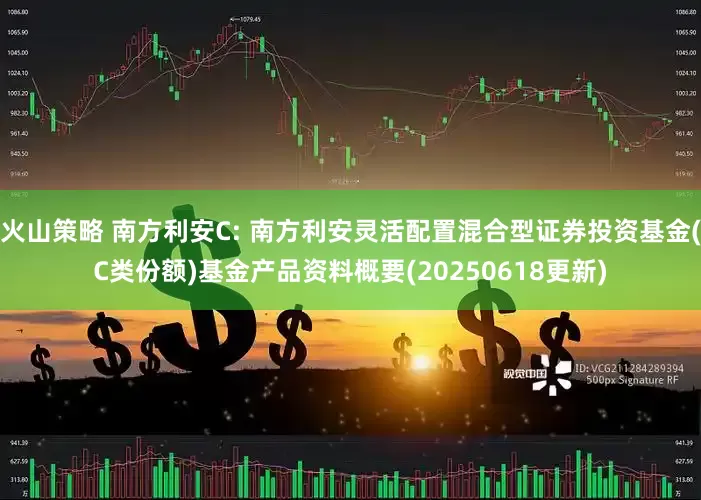 火山策略 南方利安C: 南方利安灵活配置混合型证券投资基金(C类份额)基金产品资料概要(20250618更新)
