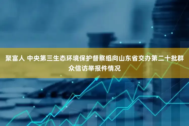 聚富人 中央第三生态环境保护督察组向山东省交办第二十批群众信访举报件情况