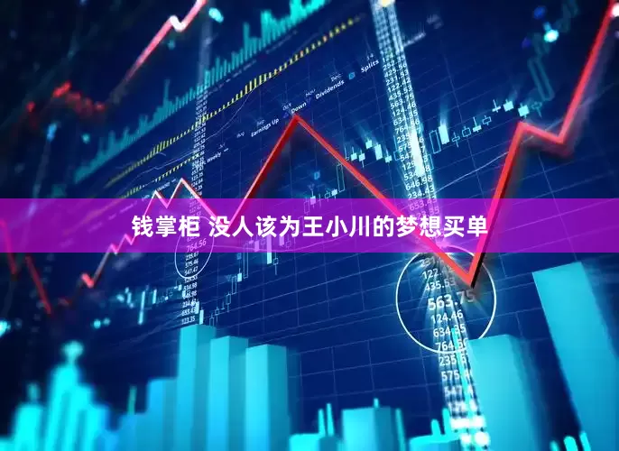 钱掌柜 没人该为王小川的梦想买单